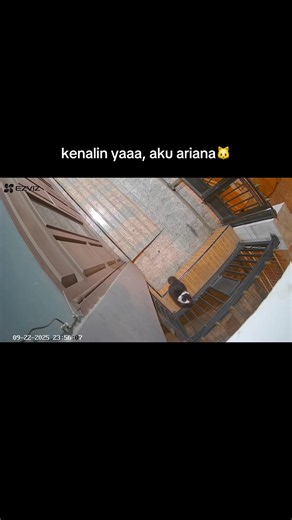 beli obat cari Apotek Fima Farma aja yaaa #cctv