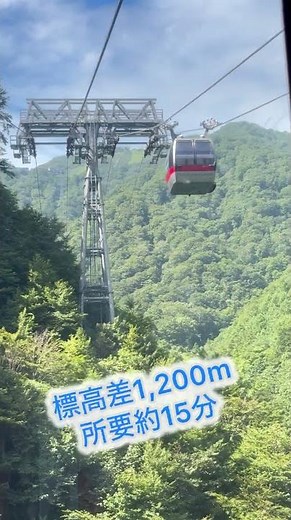 谷川岳ロープウェイ 片道約15分ほどで、1,200mを登っていきます。 天気の良い日には最高の眺めが味わえます！ #谷川岳 #ロープウェイ