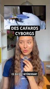 Des scientifiques ont créé des cafards cyborgs