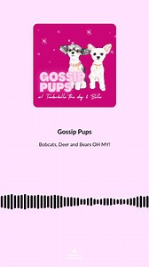 On this FURiday the #GossipPups Tinkerbelle and Belle recap their...