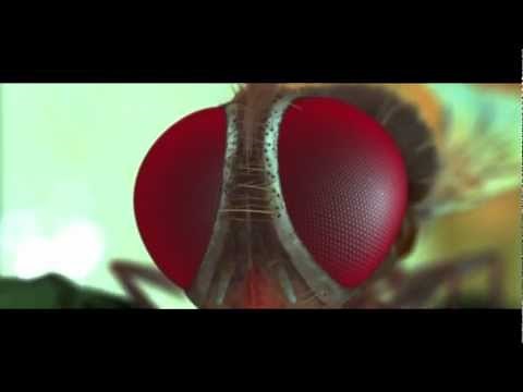 Naan Ee Official HD Theatrical Trailer #2