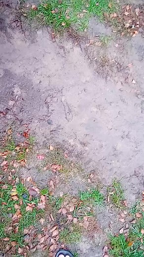 Exploring the MTZ Belarus Mechanical Device