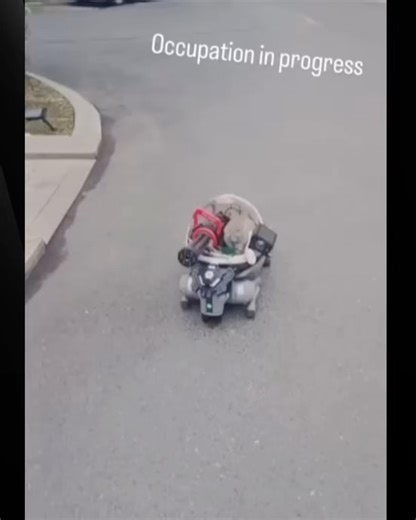 Startup Revenue I Artificial Intelligence (AI) I Business on Instagram: "Someone turned a $3,000 robot dog into an Uber for their rabbit 😭🤖🐰 A hobbyist in China modified a Unitree Go2 robot dog into a custom ride for his pet rabbit 🐇 It features a transparent cockpit, speakers, and cosplay-style accessories. Nothing functional or dangerous, just pure creative chaos energy. The wild part? Robotics that once lived only in research labs are now weekend hobby projects. Today: robot rabbit taxi.