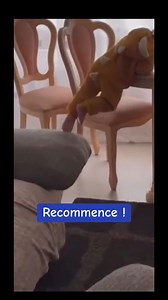 2.2M views · 75K reactions | Tu veux abandonner ? Regarde juste cet...