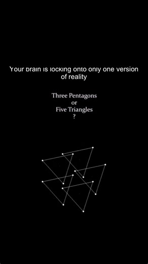 Your Brain Can Only See One Reality at a Time 🤯