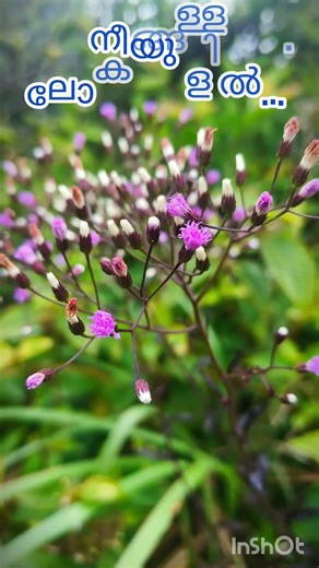 വരാം ഞാൻ നിനക്കായ് ഒരിക്കൽ#varam Njan ninakkay orikkal#