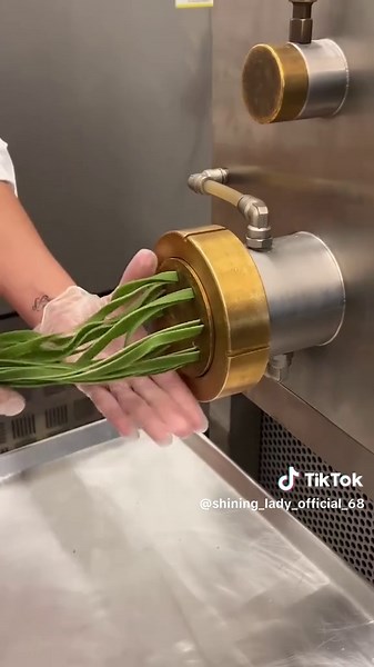 shining_lady_official_68 (@shining_lady_official_68)’s videos with sonido original - firut