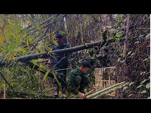 Building a Bamboo Gate for My Home