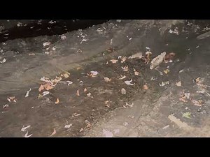 Heeled Combat Boots in Mud 2