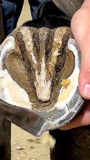 OMG! What Came Out of THIS Blackhead! 🤯🤢 You WON'T Believe It!