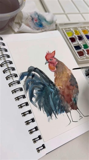 第七集【公鸡】#水彩 #watercolor #drawing #painting