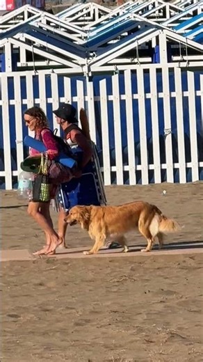 🇦🇷 Playa Grande, Mar del Plata 🌊 Argentina #shorts