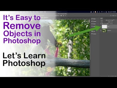 It's Easy to Remove Objects in Photoshop: Let's Learn Photoshop