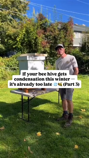 Cold doesn’t kill bees — moisture does. That’s why we take hive insulation seriously — both inside and out. At Homers Honeybee, we use what we call the Bee Beanie — an insulated top cover that prevents warm air from condensing and dripping back down on the cluster. That moisture can chill and kill bees faster than the cold ever will. For outer insulation, we use the Bee Cozy — a sleeve that keeps the hive dry and stable while still allowing ventilation through the top entrance. It’s not about tr