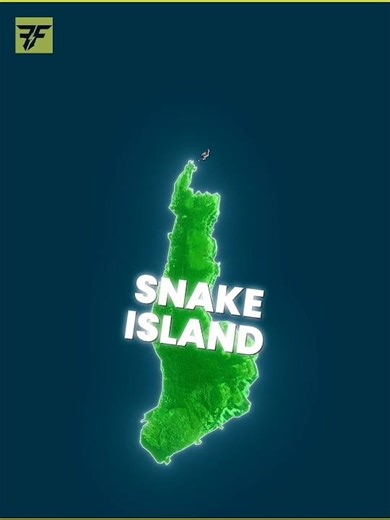 Snake Island Brazil 😱