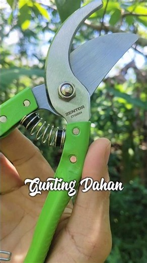 Easy way to tidy up plants