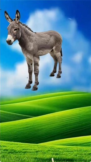 donkey transformation 🦆🪽🐣#animation #cartoon #animatedvideo#cartoonshorts #yshorts