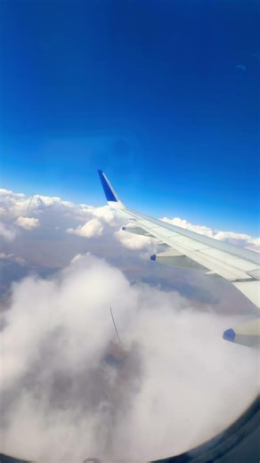 AeroPlane in Clouds #skyview #clouds #viral #aeroplane #travel #shorts #nature #youtubeshorts