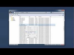 First look at Max Payne 3 files [OpenIV]