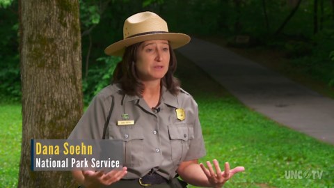 SCI NC:NC Science Now: Synchronous Fireflies