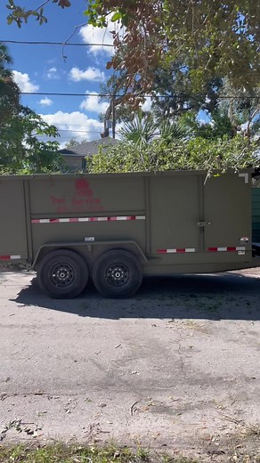 Doing what I love 💪🏼🌳🪵 #treeservice #owner #avilastreeservice #tampabay #St.Petersburg #Clearwater