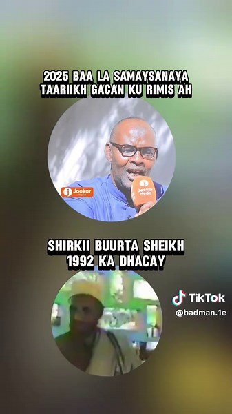 Engaging Split-Screen Presentation with Unique Perspectives