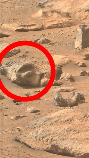 Natural Sculpture or Something Else on Mars A rock formation on the surface of Mars appears to look like a human face, leaving scientists and viewers amazed. 🔴😮 This could be a case of pareidolia when the human brain recognizes familiar shapes, like faces, in natural patterns. Still, such formations show how wind, erosion, and time have sculpted the Martian surface in mysterious ways. Nature’s artwork or something more? The Red Planet keeps its secrets well. #space #SpaceX #NASA #fblifestyle |