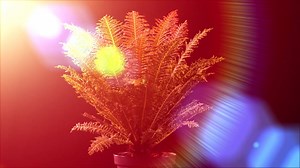 🌿 IPM Innovation Showcase 2019 For the twelfth time already, exhibitors at IPM ESSEN will have their latest plant innovations assessed by the visitors to the fair and by an expert jury. It will be possible to see the submissions in Hall 1A - divided into the "Cut Flowers", "Green House Plants", "Flowering House Plants", "Woody Plants", "Spring-Flowering Bedding and Balcony Plants", "Summer-Flowering Bedding and Balcony Plants", "Shrubs" and "Tub Plants" categories. Thus, the visitors will be ab