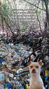 This is just ONE beach... imagine the rest! 😅🌊 We've got a lot of work to do!! #funnymeme #memes #plasticpollution #oceancleanup #cleanbeaches | 4ocean