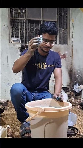 Desi Chicks Vaccination day 16🐥❤️ | Small Scale Desi Chicken Farming at Home 🏠 #shortsindia