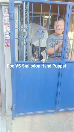 Smilodon Hand Puppet VS Dog