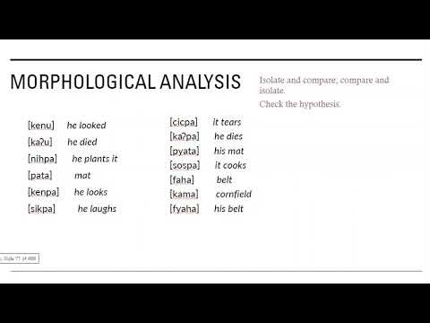 Solving morphology problems