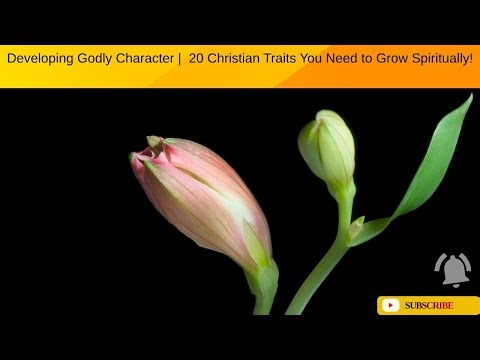Developing Godly Character | 20 Christian Traits You Need to Grow Spiritually!
