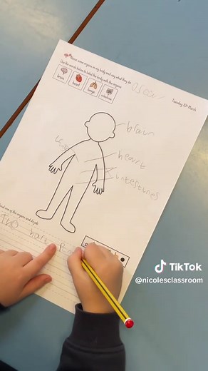 Exploring the Human Body: Year 1 Science Activities