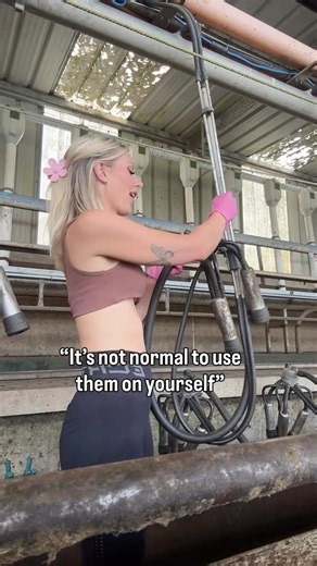 MILK PRODUCTION ON A MODERN DAIRY FARM 🥛🐄#farmlife #farming #dairyfarm #cows #shorts