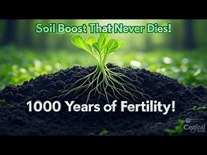 Activated Biochar Liquid Mix That Feeds Your Soil for 1000 Years