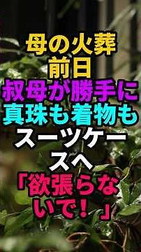 「家も貯金も全部もらうんでしょ！」母の火葬前、形見を持ち出す叔母