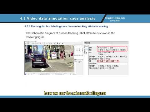 4 3 Video data annotation case analysis