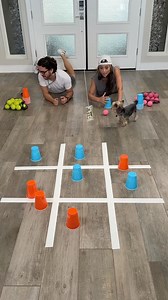 All New Tic Tac Toe Challenge 🎬 This video was produced by Network Media LLC and Zander Zone | Stage Left Productions