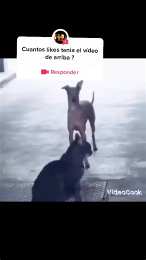 El diegoff on TikTok