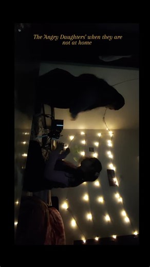 Pallavi on Instagram: "Just like home or maybe better sometimes, hostels rooms have heard stories that nobody ever would have a clue off.....✨🫶 . . . {Hostel life, girls hostel, love, student life, emotions, hostel memories, hostellers, study, fun, vibes} #viral #reelvideo #life #reach #reelitfeelit"