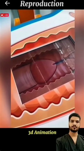 How Sperm Meets the Egg | Fertilization Explained in 3D Animation