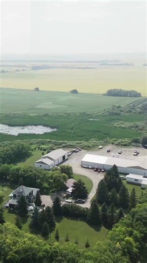 Canadian agriculture thrives when we work as a team. Behind every container of BeeMaid Honey is a family like the Strongs, who care for their bees with dedication that spans generations. 🍁As co-operative members, they're part of a community where every beekeeper has a voice and works toward a common goal: producing the best honey. Head to BeeMaid.com to learn more about what it means to be part of a Canadian co-operative. | BeeMaid Honey