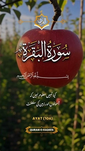 #quranrecitation #quran #islamicstoriesinurduandhindi