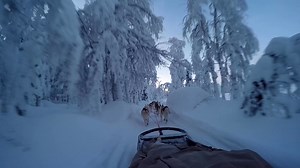 Whether you’re looking for an adventure, a relaxing break or simply to wind down in nature, Treehotel invites you to experience nature, and our restaurant and surroundings, in the most unique and memorable way you can imagine. | treehotel