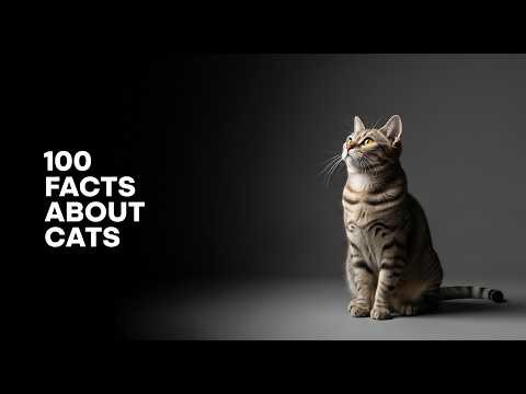 100 Cat Facts That Will Blow Your Mind