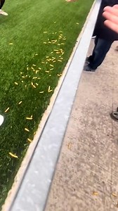 He was absolutely devastated | The Mirror