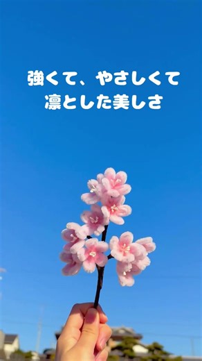 桜の花言葉、知ってる？🌸