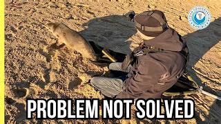 99K views · 5.3K reactions | From a distance, this looks like a...