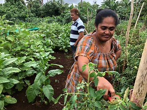 Advancing the Pacific food systems